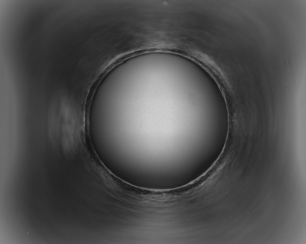 X0000088361220200705291300