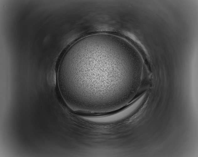 X0000088361221200705291300