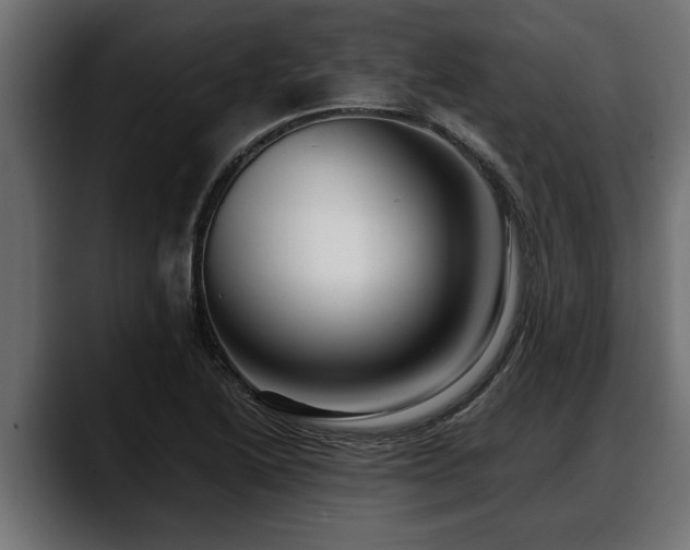 X0000088361222200705291301