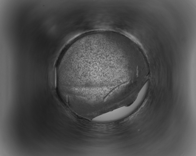 X0000088361223200705291301