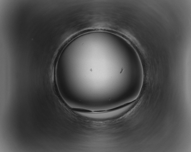 X0000088361224200705291301