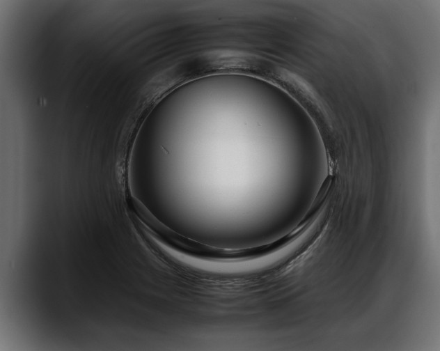 X0000088361225200705291301