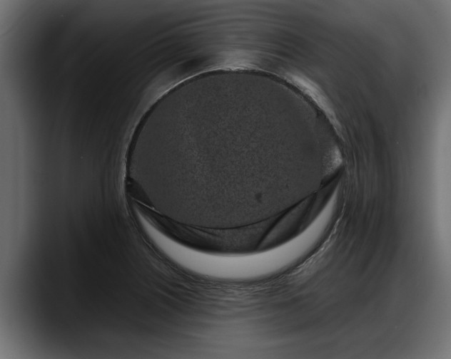 X0000088361226200705291301