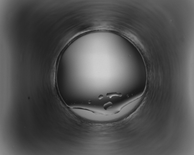 X0000088361228200705291301