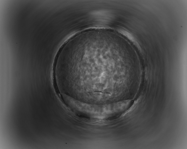 X0000088361229200705291301