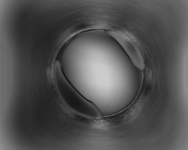 X0000088361230200705291301