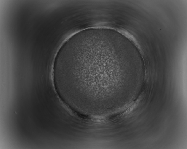 X0000088361231200705291301