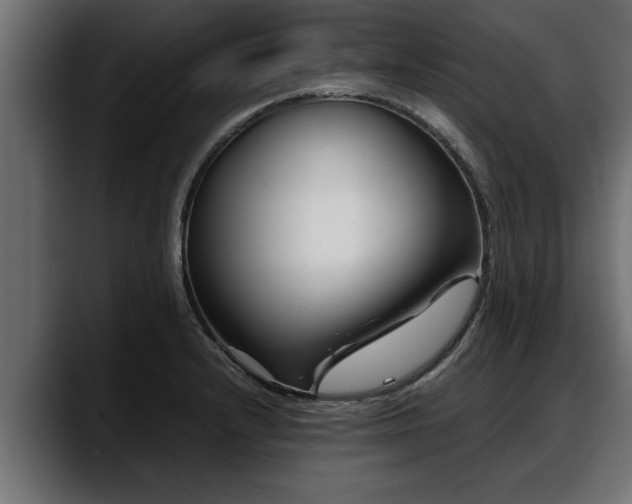 X0000088361232200705291301