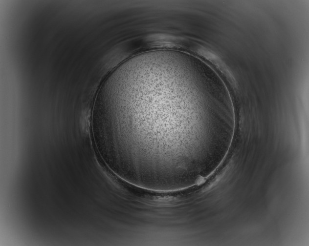 X0000088361233200705291301