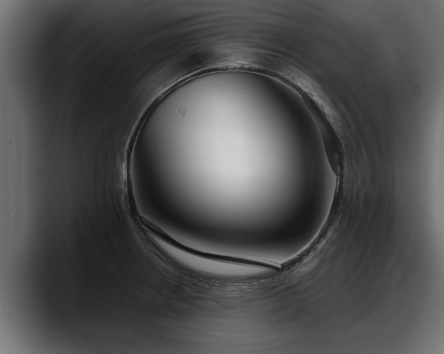 X0000088361234200705291301