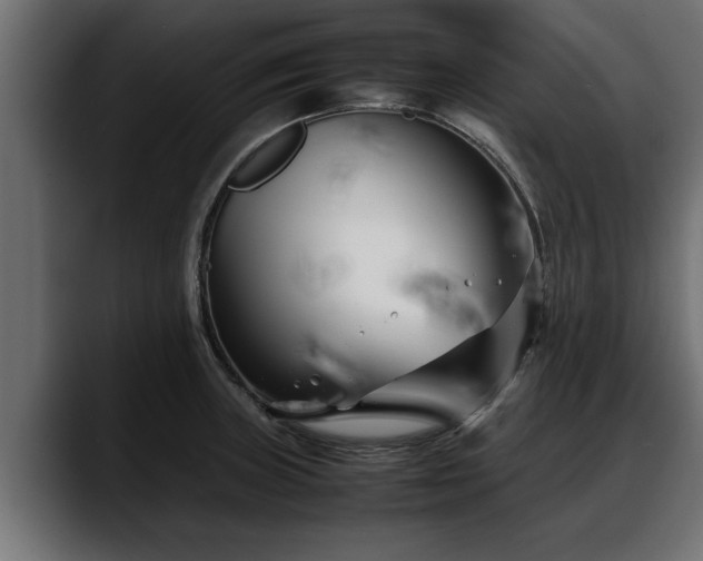 X0000088361235200705291301