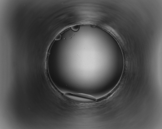 X0000088361236200705291301