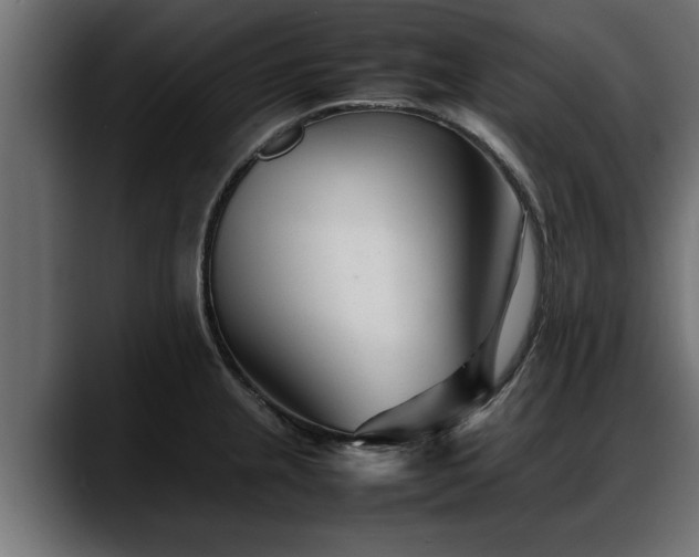 X0000088361237200705291301