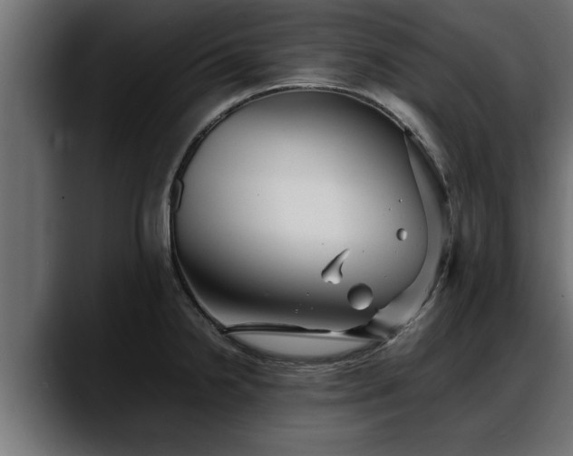 X0000088361238200705291301