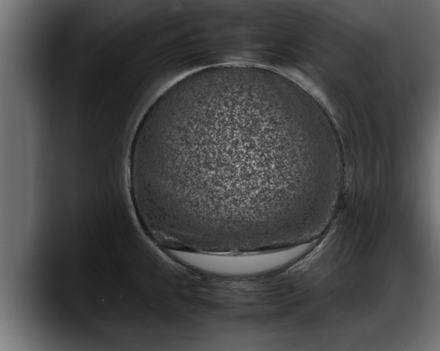 X0000088361239200705291301