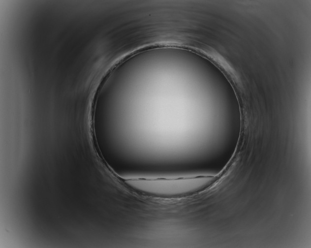 X0000088361240200705291301