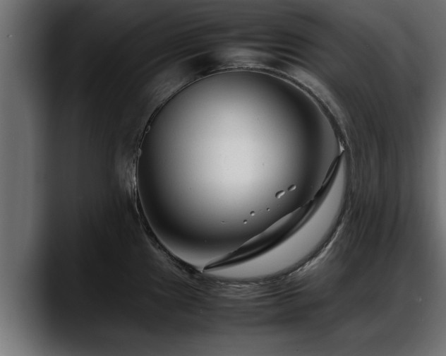 X0000088361241200705291301