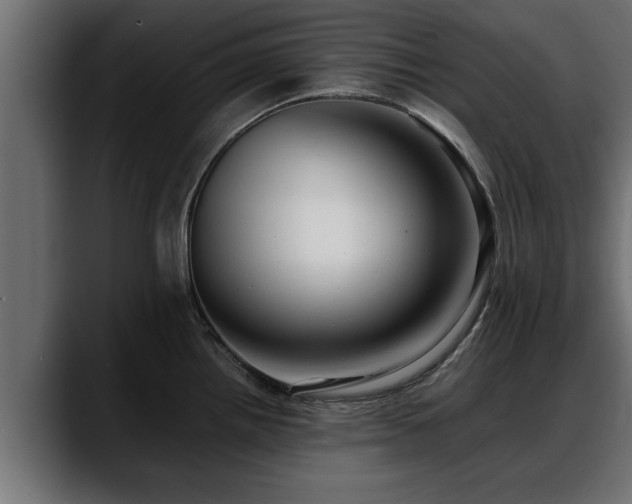 X0000088361242200705291301