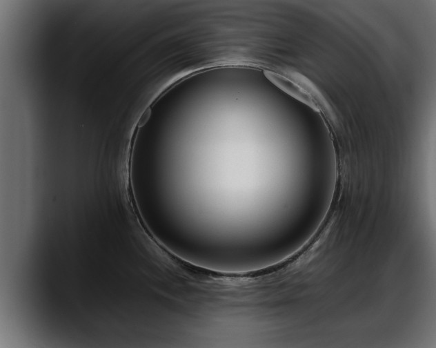 X0000088361244200705291301