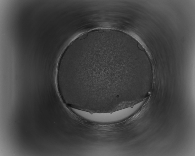 X0000088361245200705291301