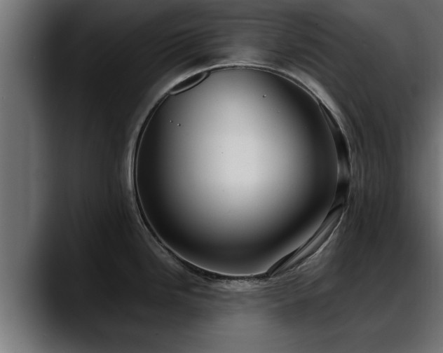 X0000088361246200705291301