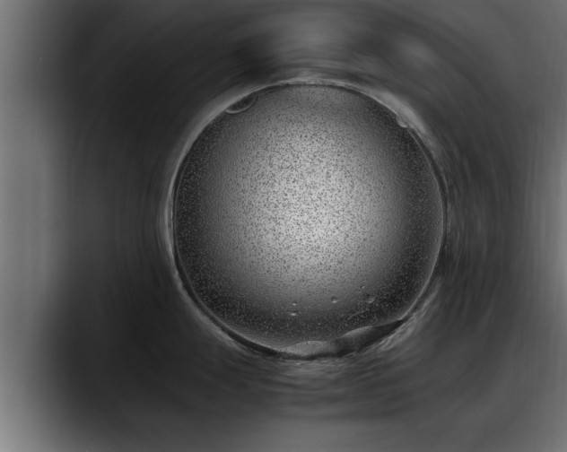 X0000088361247200705291301