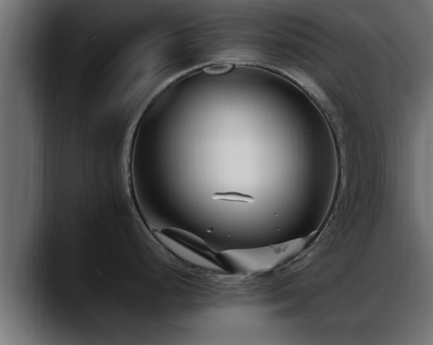 X0000088361248200705291301