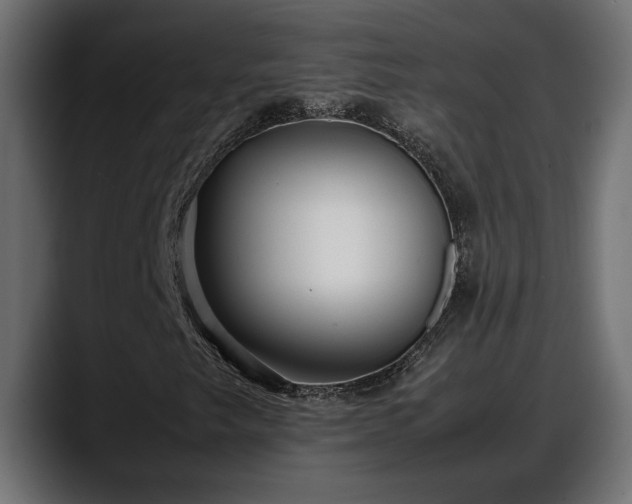 X0000088361249200705291300