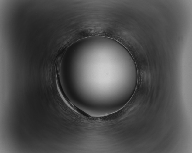 X0000088361250200705291300