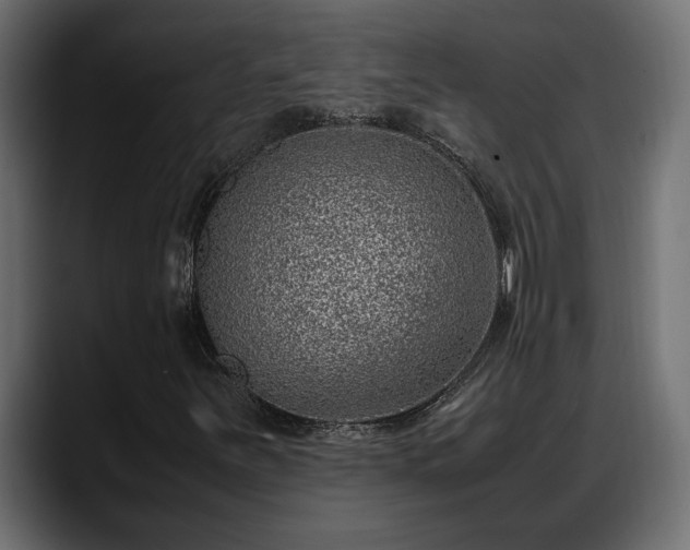 X0000088361251200705291300