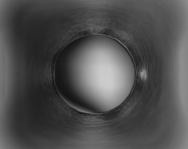 X0000088361252200705291300