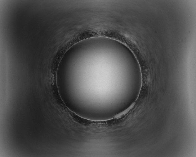 X0000088361253200705291300