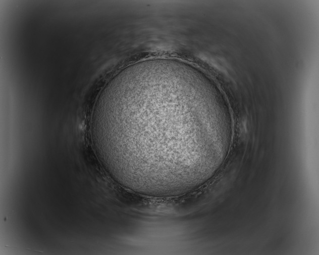 X0000088361254200705291300