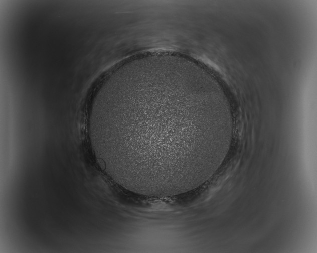 X0000088361255200705291300