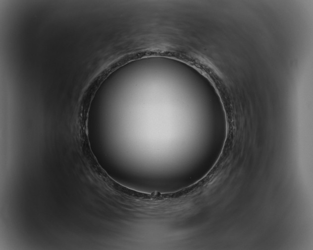 X0000088361256200705291300