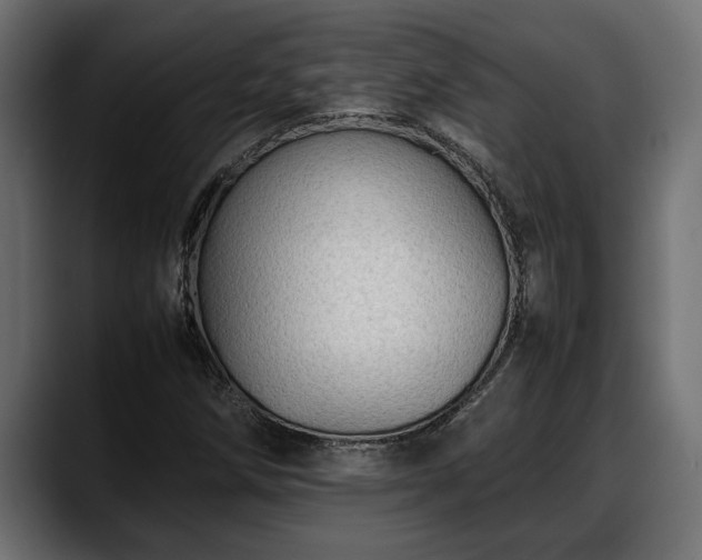 X0000088361258200705291300