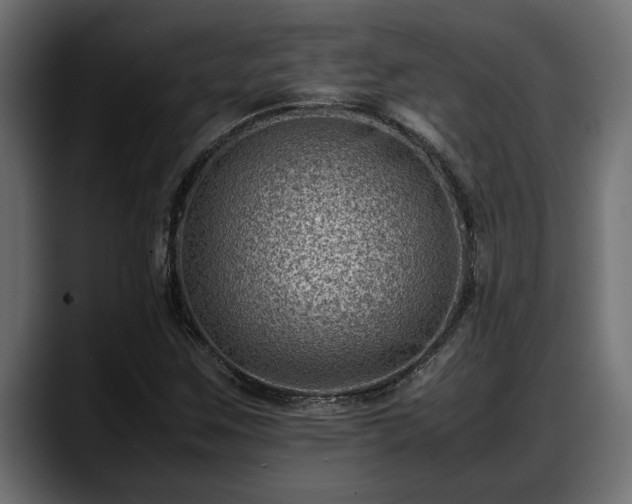 X0000088361259200705291300