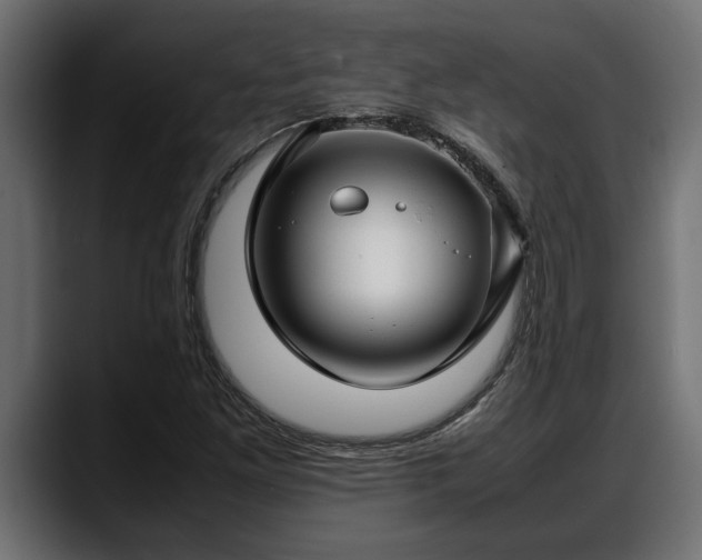 X0000088361261200705291300