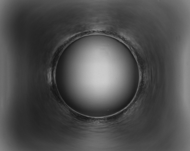 X0000088361262200705291300