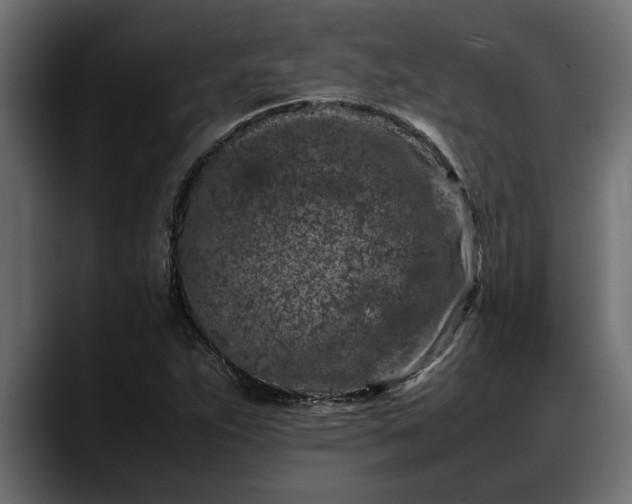 X0000088361263200705291300