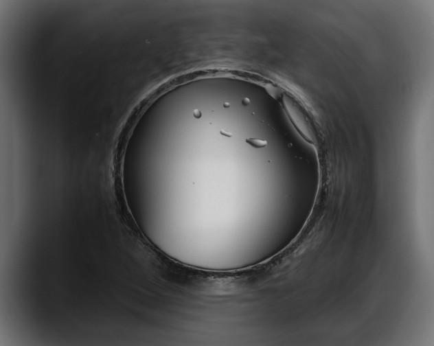 X0000088361264200705291300