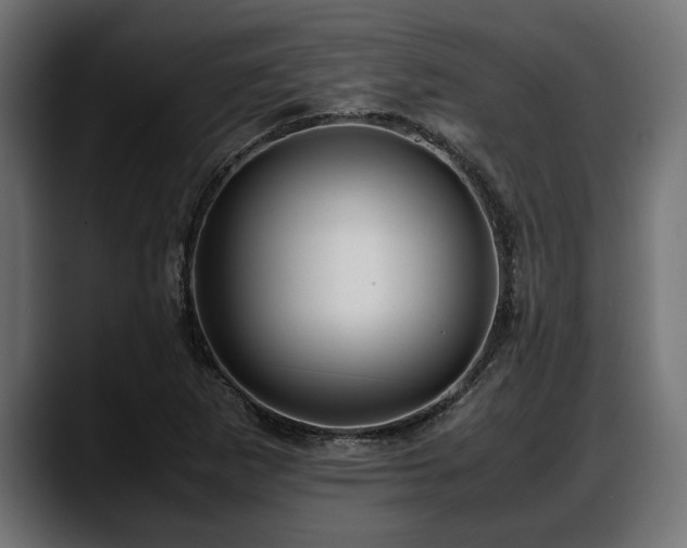 X0000088361265200705291300