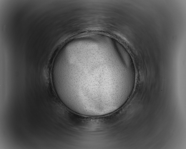 X0000088361266200705291300