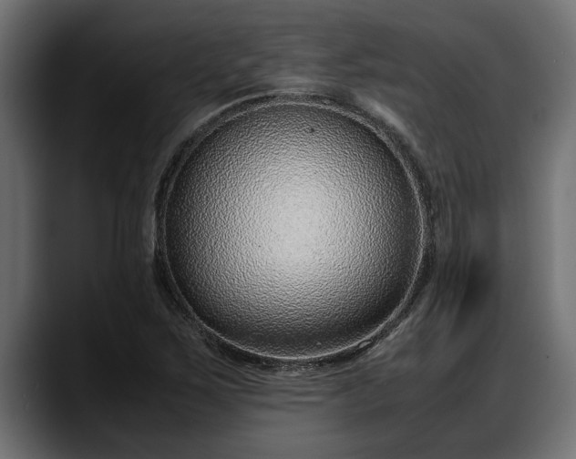 X0000088361267200705291300