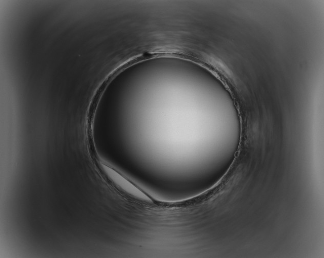 X0000088361268200705291300