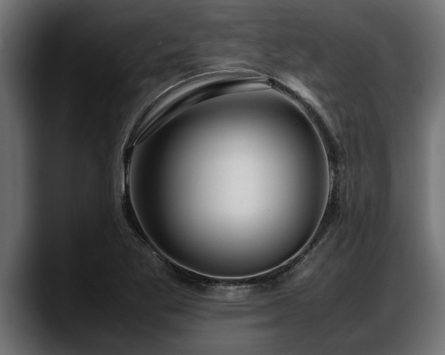 X0000088361269200705291300