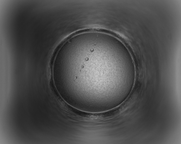 X0000088361271200705291300