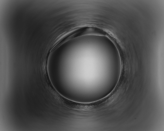 X0000088361273200705291300