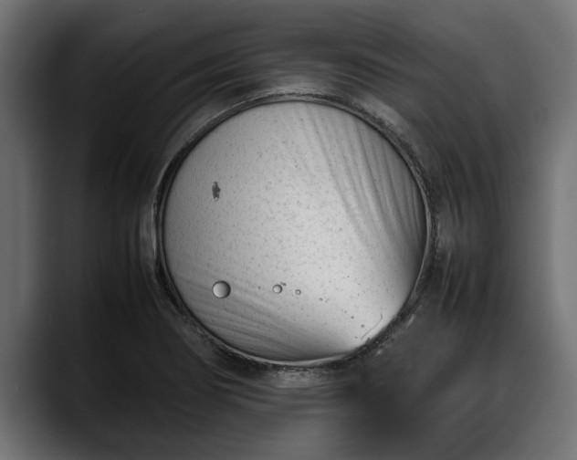 X0000088361274200705291300