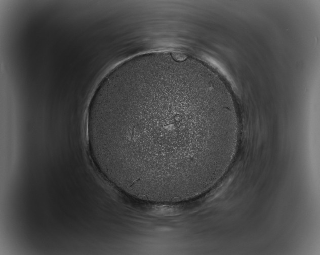X0000088361275200705291300